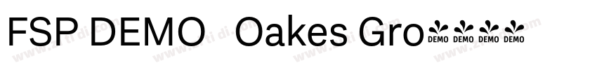 FSP DEMO   Oakes Gro字体转换
